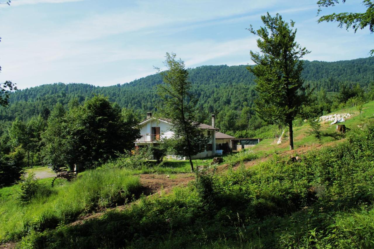 Bosco Delle Rune ..Un Angolo Di Paradiso Platischis Exterior photo